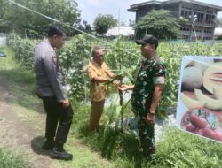 Bersama Danramill Seteluk Polsek Seteluk Bangun Koordinasi dengan BPP Kecamatan Seteluk