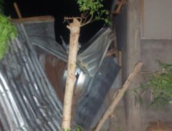Rumah Seorang Warga Selengen Tertimpa Pohon Tumbang