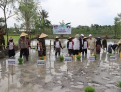 Kapolres Loteng Hadiri Tanam Raya Padi Gama Gora di Kecamatan Pujut