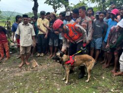 Bantu Pencarian Korban Banjir di Bima, Unit Polsatwa Polda NTB Kirimkan 6 Polmas K9 dan Satu Satwa Berkemampuan SAR