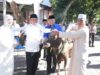 Polda NTB Sembelih Ratusan Hewan Kurban, Dagingnya Dibagikan kepada Masyarakat